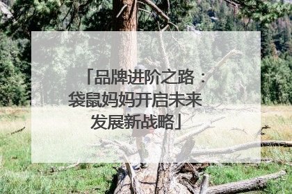 品牌进阶之路：袋鼠妈妈开启未来发展新战略