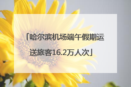 哈尔滨机场端午假期运送旅客16.2万人次