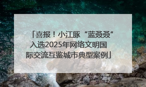 喜报！小江豚“蓝叒叒”入选2025年网络文明国际交流互鉴城市典型案例
