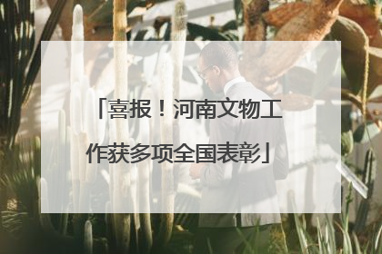 喜报！河南文物工作获多项全国表彰