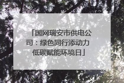 国网瑞安市供电公司：绿色同行添动力 低碳赋能环境日