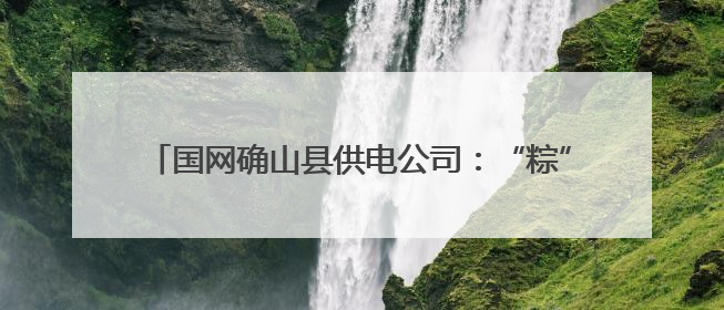 国网确山县供电公司：“粽”情“粽”意 安康常驻端午