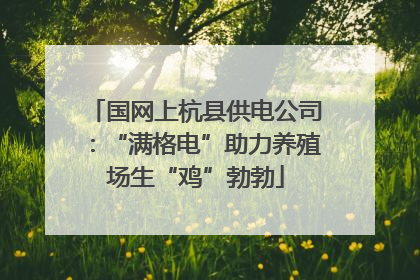 国网上杭县供电公司：“满格电”助力养殖场生“鸡”勃勃