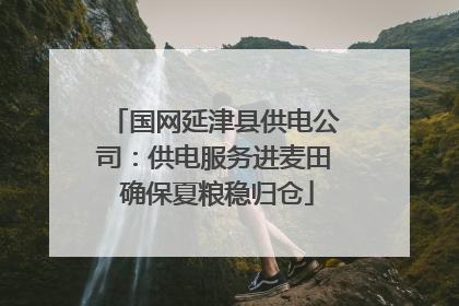 国网延津县供电公司：供电服务进麦田 确保夏粮稳归仓