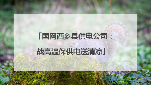 国网西乡县供电公司：战高温保供电送清凉