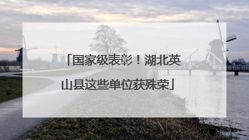 国家级表彰！湖北英山县这些单位获殊荣