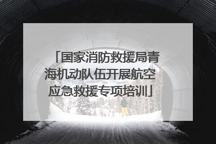 国家消防救援局青海机动队伍开展航空应急救援专项培训