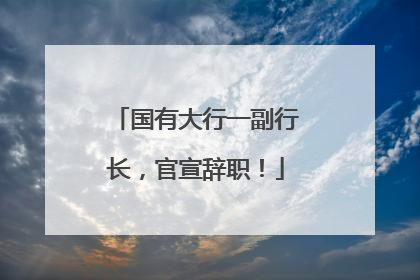 国有大行一副行长，官宣辞职！