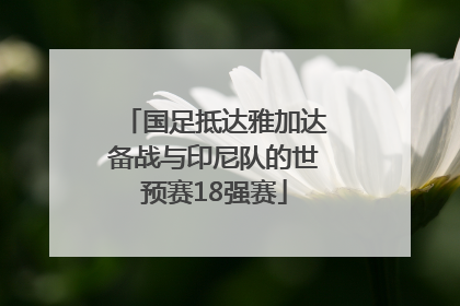 国足抵达雅加达备战与印尼队的世预赛18强赛