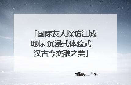 国际友人探访江城地标 沉浸式体验武汉古今交融之美