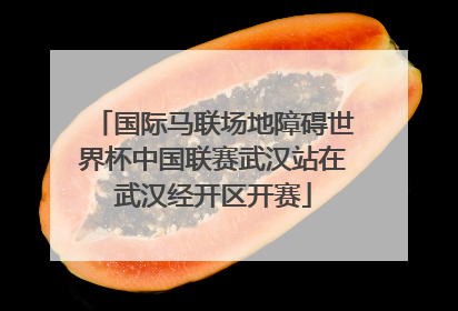 国际马联场地障碍世界杯中国联赛武汉站在武汉经开区开赛