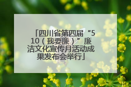 四川省第四届“510（我要廉）”廉洁文化宣传月活动成果发布会举行