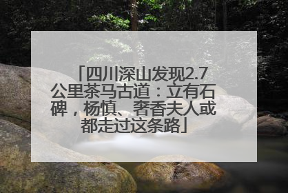 四川深山发现2.7公里茶马古道：立有石碑，杨慎、奢香夫人或都走过这条路