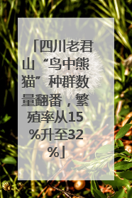 四川老君山“鸟中熊猫”种群数量翻番，繁殖率从15%升至32%