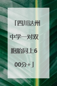 四川达州中学一对双胞胎同上600分+