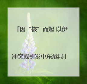 因“核”而起 以伊冲突或引发中东危局