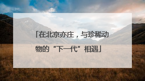 在北京亦庄，与珍稀动物的“下一代”相遇