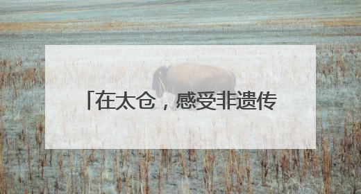 在太仓，感受非遗传承的“硬核浪漫”