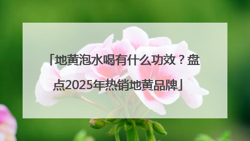 地黄泡水喝有什么功效？盘点2025年热销地黄品牌
