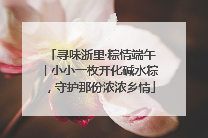 寻味浙里·粽情端午丨小小一枚开化碱水粽，守护那份浓浓乡情