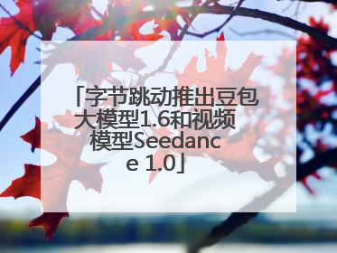 字节跳动推出豆包大模型1.6和视频模型Seedance 1.0