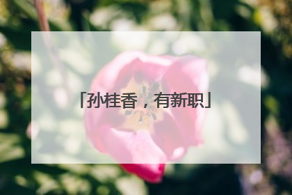 孙桂香，有新职