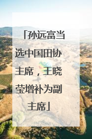 孙远富当选中国田协主席，王晓莹增补为副主席