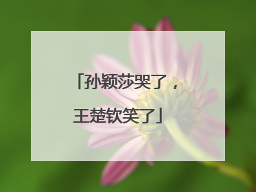 孙颖莎哭了，王楚钦笑了