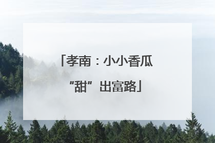 孝南：小小香瓜 “甜”出富路