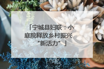 宁城县妇联：小庭院释放乡村振兴“新活力”