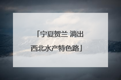 宁夏贺兰 淌出西北水产特色路