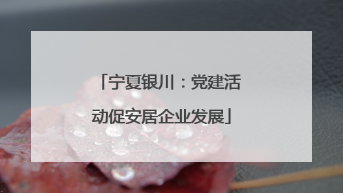 宁夏银川：党建活动促安居企业发展