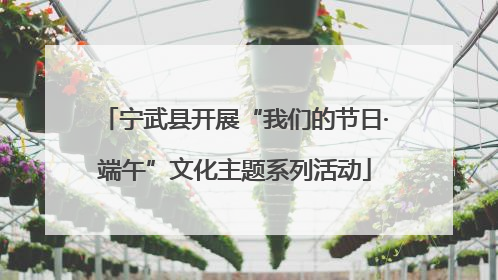 宁武县开展“我们的节日·端午”文化主题系列活动