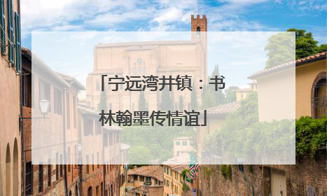 宁远湾井镇：书林翰墨传情谊