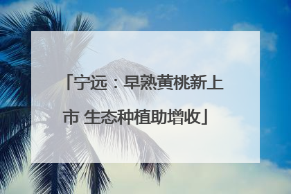 宁远：早熟黄桃新上市 生态种植助增收
