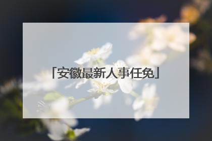 安徽最新人事任免
