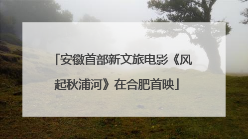 安徽首部新文旅电影《风起秋浦河》在合肥首映