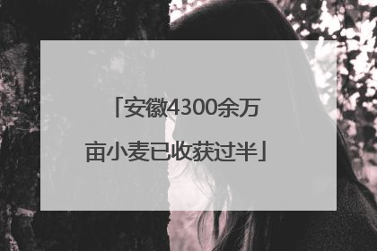 安徽4300余万亩小麦已收获过半