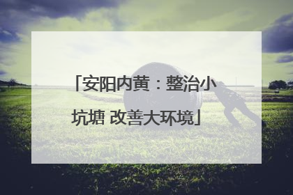 安阳内黄：整治小坑塘 改善大环境