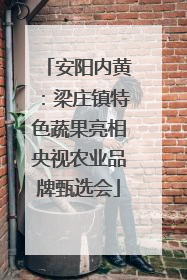 安阳内黄：梁庄镇特色蔬果亮相央视农业品牌甄选会