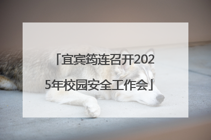 宜宾筠连召开2025年校园安全工作会