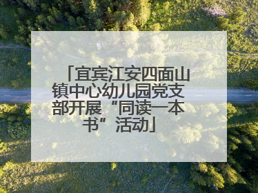 宜宾江安四面山镇中心幼儿园党支部开展“同读一本书”活动