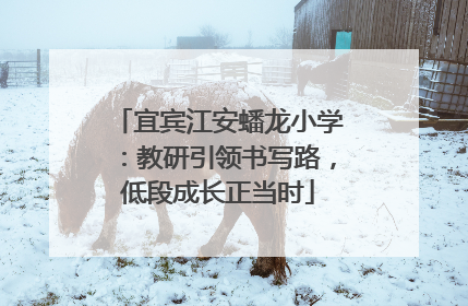 宜宾江安蟠龙小学：教研引领书写路，低段成长正当时