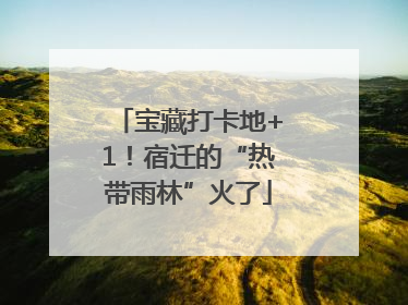 宝藏打卡地+1！宿迁的“热带雨林”火了