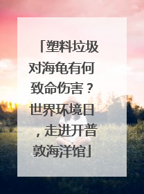 塑料垃圾对海龟有何致命伤害？世界环境日，走进开普敦海洋馆