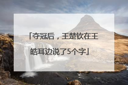 夺冠后，王楚钦在王皓耳边说了5个字