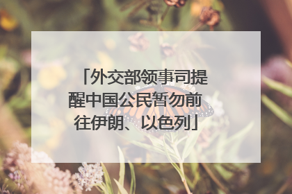 外交部领事司提醒中国公民暂勿前往伊朗、以色列