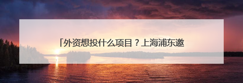外资想投什么项目？上海浦东邀请供需双方“坐下来掰开了谈”