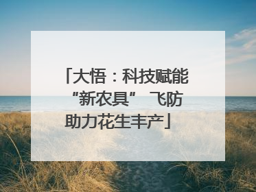 大悟：科技赋能“新农具” 飞防助力花生丰产