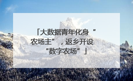 大数据青年化身“农场主”，返乡开设“数字农场”